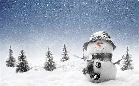 Schneemann Bilder Wallpapers