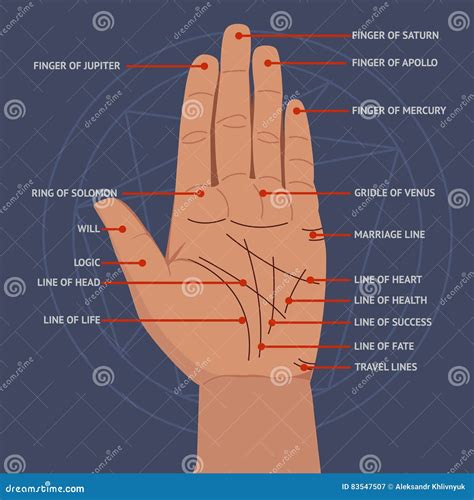 Hand And Lines On The Palm Palmistry Vector Cartoondealer