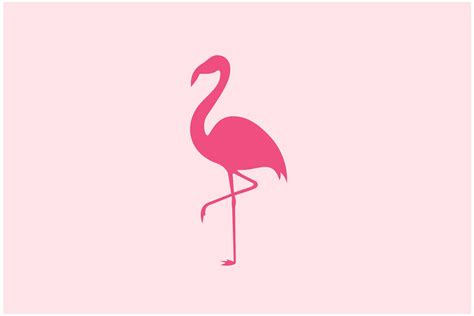 Beauty Flamingo Bird Logo Design Vector Graphic By Sore Creative