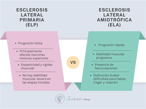 Diferencias Entre Esclerosis Lateral Primaria Y Amiotr Fica