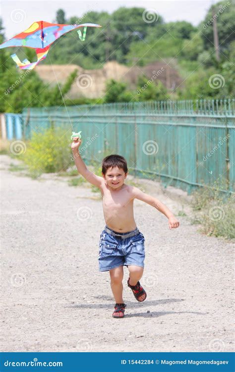 Little Boy Flying Kite Stock Photo Image Of Sunlight 15442284