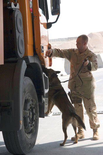 K9 Explosives Detection Dogs Eod Technology