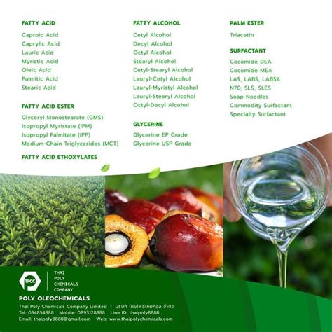 Stearyl Alcohol, สเตียริลแอลกอฮอล์, Stearyl1898, ThaiOL1898, โอลีโอเคมิ ...