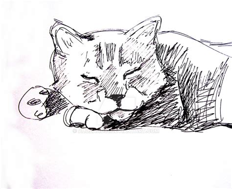 Cat Nap by Alozano81 on DeviantArt