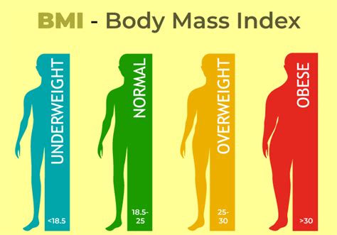 Best Bmi Calculator Calculate Your Body Mass Index Online