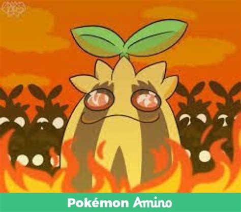 Lord Sunkern Part 2 Pokémon Amino