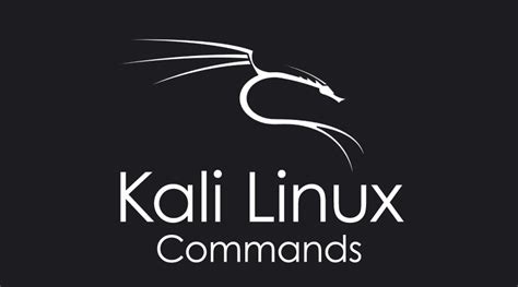 Kali Linux Commands | Basic To Advanced Commands With Examples