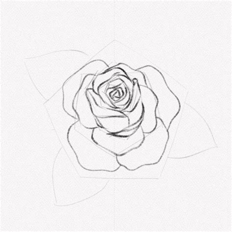 Comment Dessiner Une Rose Un Tutoriel Tape Par Tape Artlex