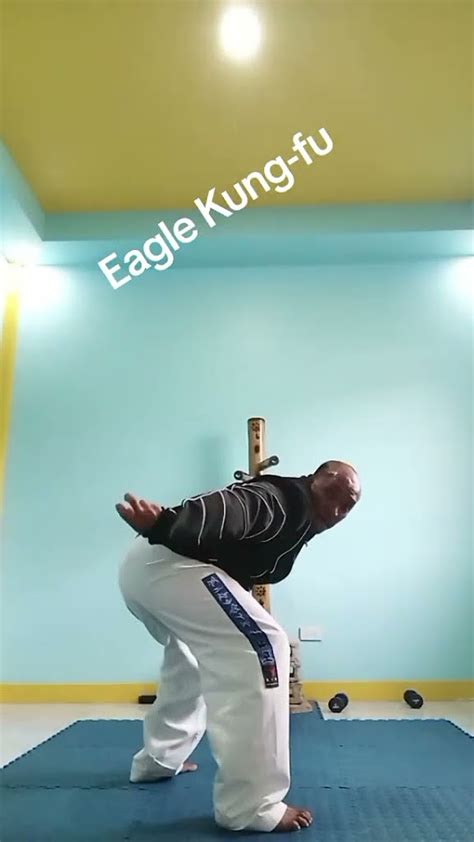 Eagle Kung Fu Youtube