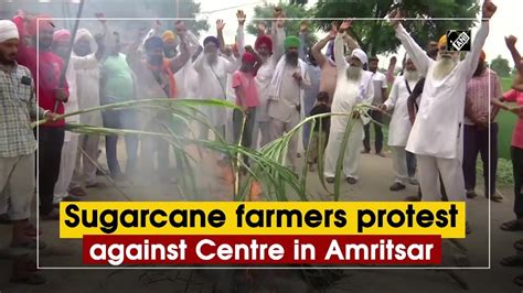 Sugarcane Farmers Protest Against Centre In Amritsar Youtube