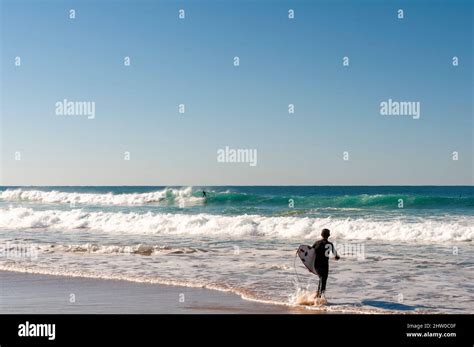 Surfista Entrando En El Agua Con Su Tabla En La Hermosa Playa