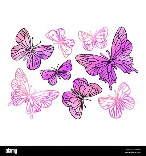 MARIPOSAS ROSA Acuarela Insecto Verano Tropical Clip Art Ilustración