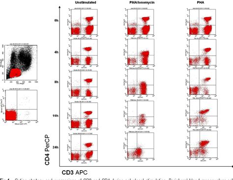 Figure From Differences In The Induction Of Induced Human Cd Cd