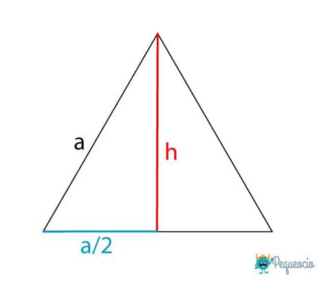 Margaret Mitchell pobre Panadería calculo area triangulo equilatero unos pocos firma recurso ...