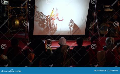 Wayang Kulit Performance at Stage Stock Video - Video of costume ...