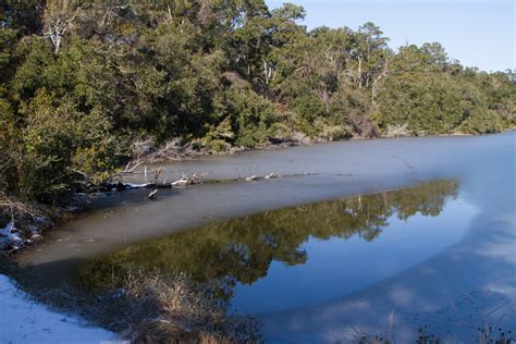 Edisto Snow Scenes Colorful Things Photography