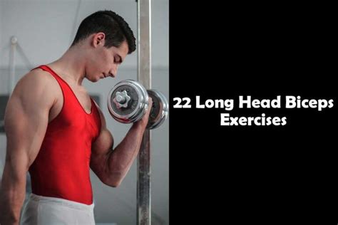 22 Long Head Biceps Exercises Barbell Dumbbell Cable Yes Strength