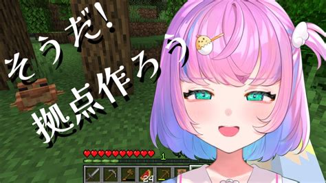 Minecraft】久々のマイクラ！自分のサーバーで一から！【＃新人vtuber＃天羽ひな】＃マイクラ＃雑談 マイクラ（minecraft