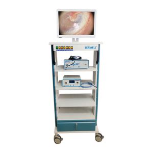 Endoscopy Tower Trolley Serwell Medi Equip P Ltd