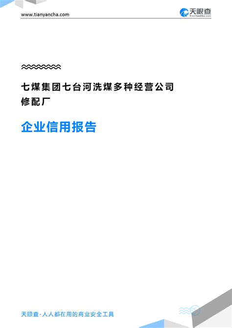 七煤集团七台河洗煤多种经营公司修配厂企业信用报告 天眼查word文档在线阅读与下载免费文档