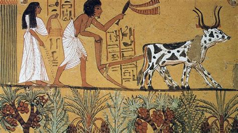 The Lives Of The Egyptians The History Of Agriculture In The Ancient