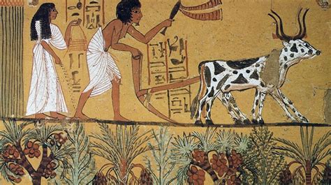 "The Lives of the Egyptians" The History of Agriculture in the Ancient ...