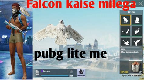 How To Unlock Falcon Companion Pubg Mobile Lite Falcon In Pubg Lite