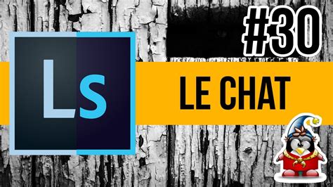 Lightroom Avec Du Photoshop Le Chat Dans La Boite Youtube