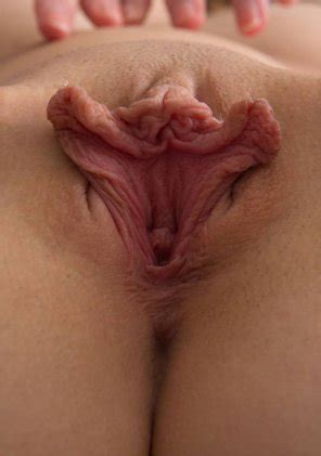 LOOK At Those BUTTERFLY Looks Like It S Fluttering Porn Pic