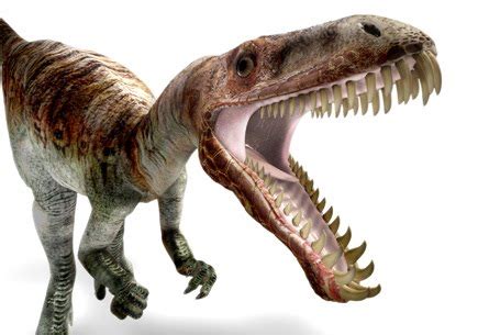 Rareresource: Teeth Suggest Dinosaur Was Venomous