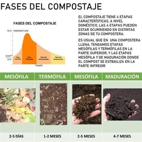 Fases Del Compostaje Compostaje Compost Composta