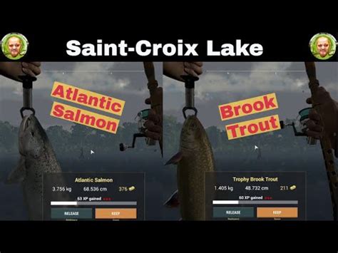 Fishing Planet Saint Croix Lake Michigan Atlantic Salmon Trophy