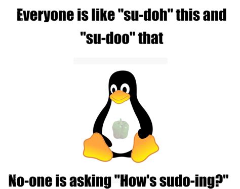 With The Discussion Of Sudo Rlinuxmasterrace