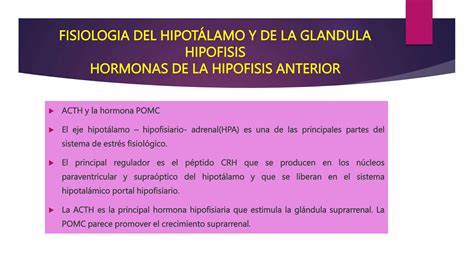 ENFERMEDADES DEL HIPOTALAMO Y LA HIPOFISIS Pptx