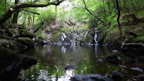 Sons Da Natureza Cachoeira Relaxante Horas Youtube