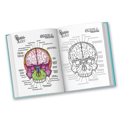 Book 1 – Medical Illustrations