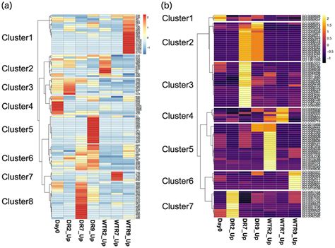 Hierarchical Cluster Analysis Of The Transcriptome A Kegg Pathway