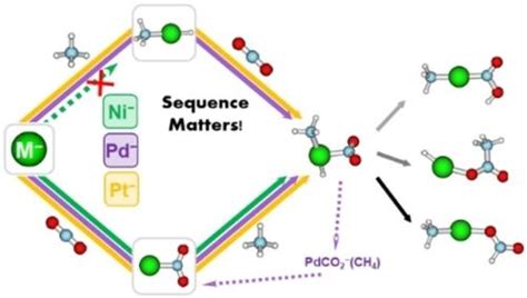 Elucidating The Mechanism Of Simultaneous Activation Of CH4 And CO2