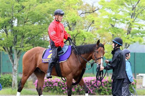 【天皇賞・春】アスクビクターモアは坂路で調整 高木助手「一点の曇りもない状態です」｜競馬ニュース｜競馬予想のウマニティ