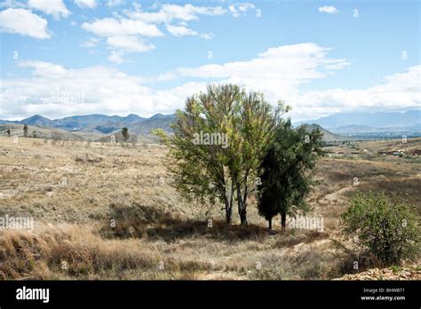 View Across Valley Of Oaxaca With Scrub Vegetation To Magnificent