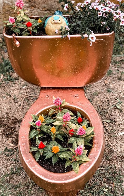 Toilet Planter Rustic Garden Design Fun Garden Decor Garden Art Diy