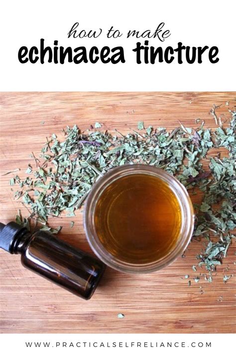 How To Make Echinacea Tincture Diy Recipe Herbal Tinctures Herbal