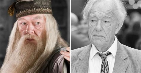 Harry Potter Muere el actor Michael Gambon quien interpretó a Albus