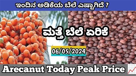 ರಜಯದ ವವಧ ಮರಕಟಟ ಅಡಕ ಬಲ 06 05 2024 adike rate arecanut