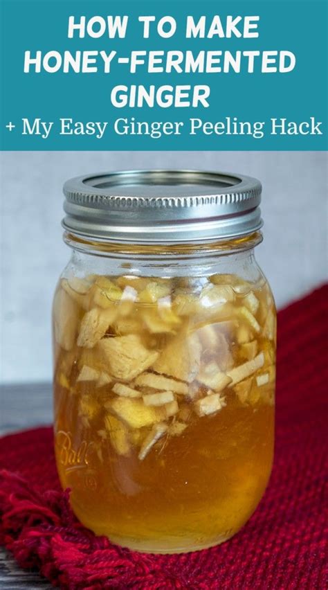 How To Make Honey Fermented Ginger My Easy Ginger Peeling Hack