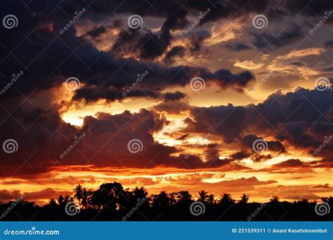 Palm Tree Silhouette With Gold Color Cloud And Blue Sky In Magic Hour