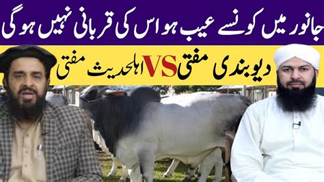 Qurbani Ke Janwar Mein Kon Kon Se Ahaib Ho To Qurbani Nahi Hogi Mufti