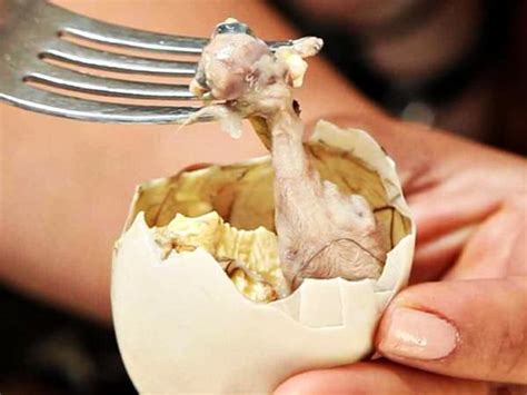 Balut In Siem Reap Restaurants Series The Most Disgusting Dishes In The World