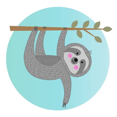 Cute Sloth Hanging From Tree Branch Stock Vector Illustration Of