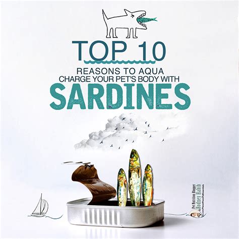 WANT TO KNOW WHY THE LOW-COST, NUTRIENT-PACKED "SARDINE" IS A MUST ADD TO YOUR PET'S DIET PLAN ...